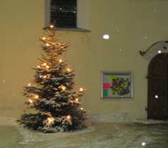 Christbaum vor der Klosterkirche in Neukirchen b. Hl. Blut