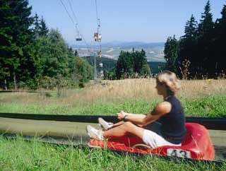 Sommerrodelbahn Hoher Bogen